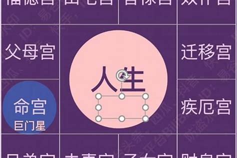 八字 命主 意思|八字命学